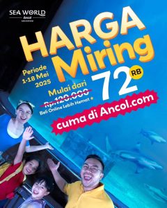 Promo Sea World Harga Miring Mulai Dari Rp 72.000